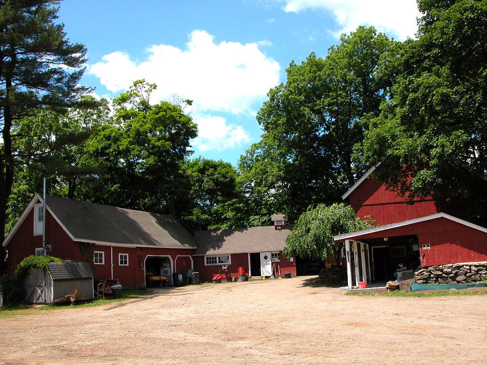Barn Courtyard