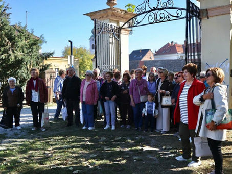 Održana 6. Valpovačka staza zdravlja