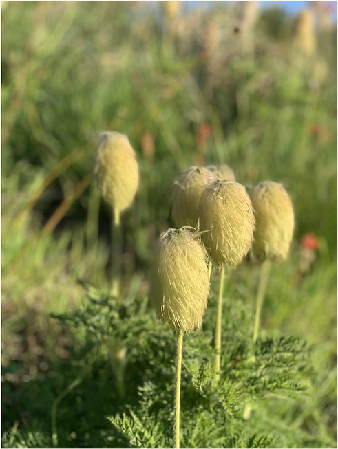 Screenshot 2025-10-19 at 11.33.34 PM.png