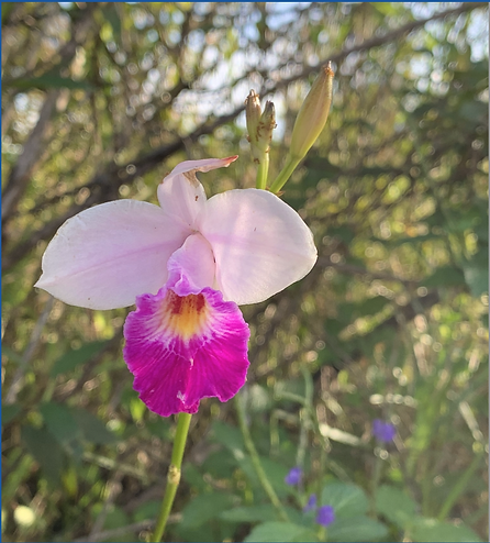 Screenshot 2025-10-29 at 11.12.17 AM.png