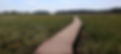 brown wooden pathway between green grass field during daytime_edited.jpg