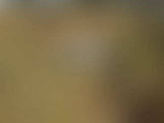 MULHER MORRE EM GRAVE ACIDENTE NA GO-210, ENTRE CATALÃO E DAVINÓPOLIS