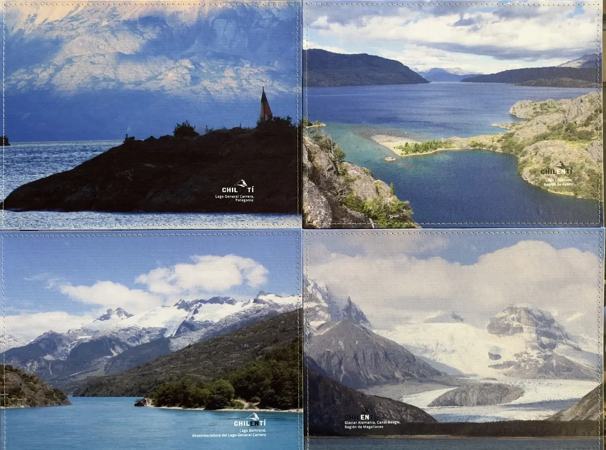 Pack 8 (4 individuales)