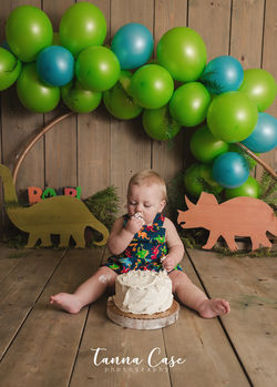 Binghamton NY Cake Smash Photography