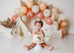 Binghamton NY Cake Smash Photography, Cake smash photographer, binghamtom ny, cake smash, first birt