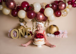 Binghamton NY Cake Smash Photography, Cake smash photographer, binghamtom ny, cake smash, first birt