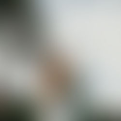 séance photo de couple mariage Claraly Studio