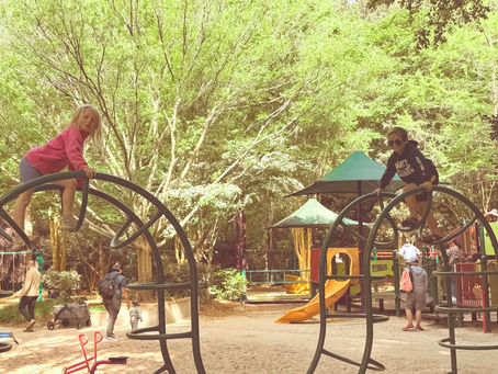 6 Must-Visit Triangle NC Playgorunds