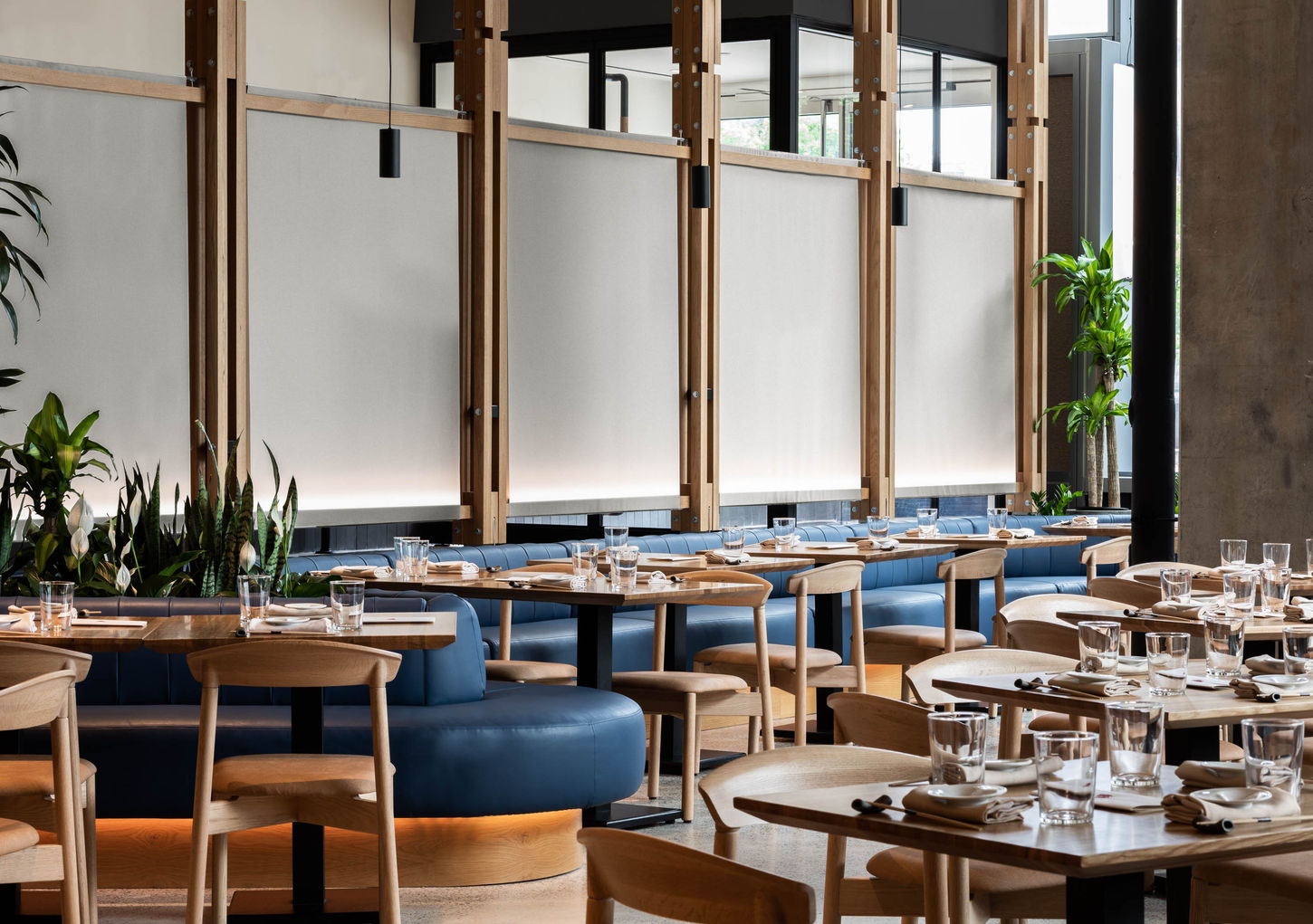 Love, Makoto Sushi restaurant Washington DC Menard Dworkind design.