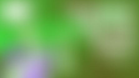 The Scarbee Funk Guitarist VST