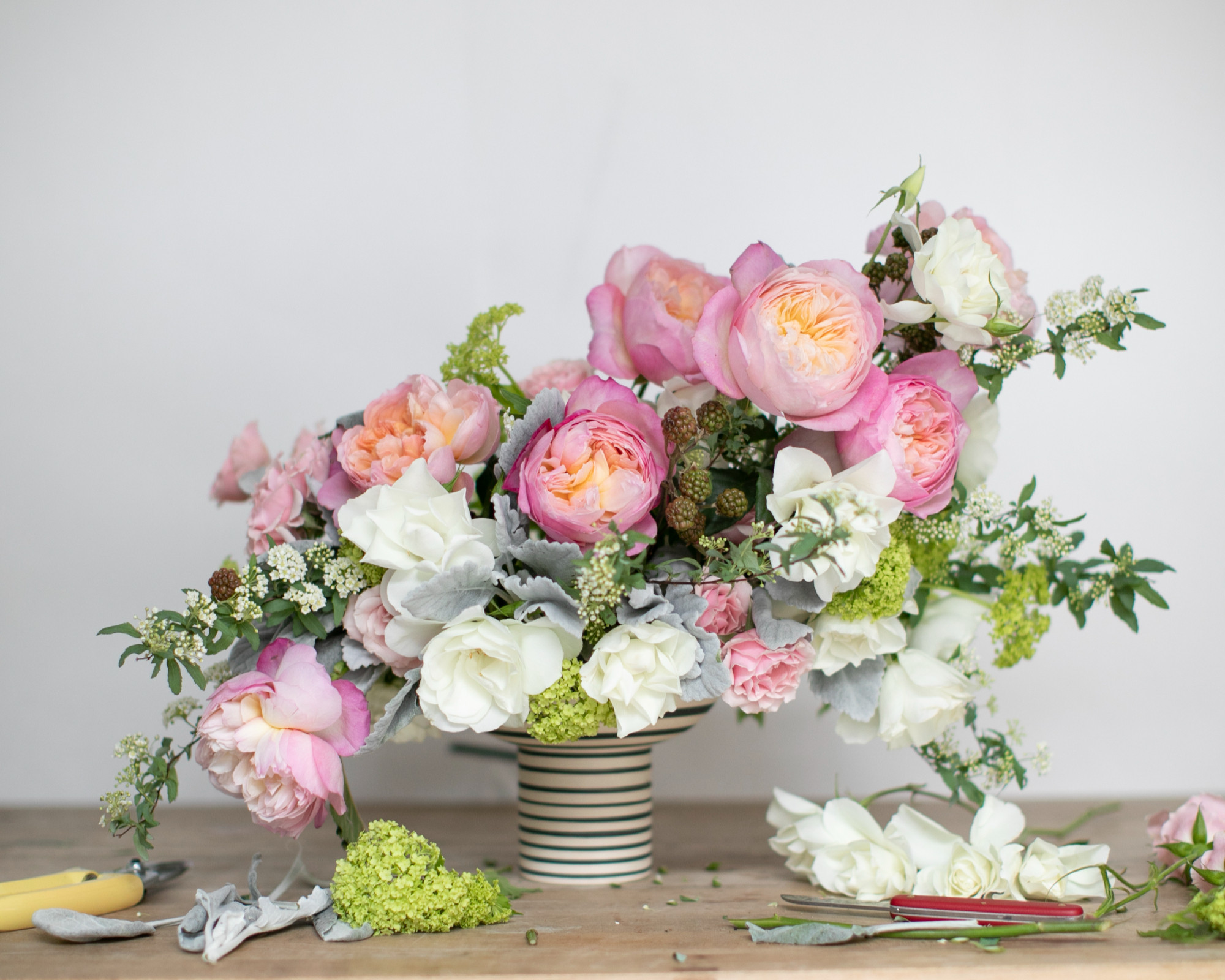 【本日限定セール❗️】PAURA PRYKE’S FLOWER SCHOOL Shop Floral Design Supplies | FlowerSchool
