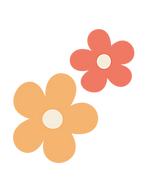 wild cosmos flower pink and orange