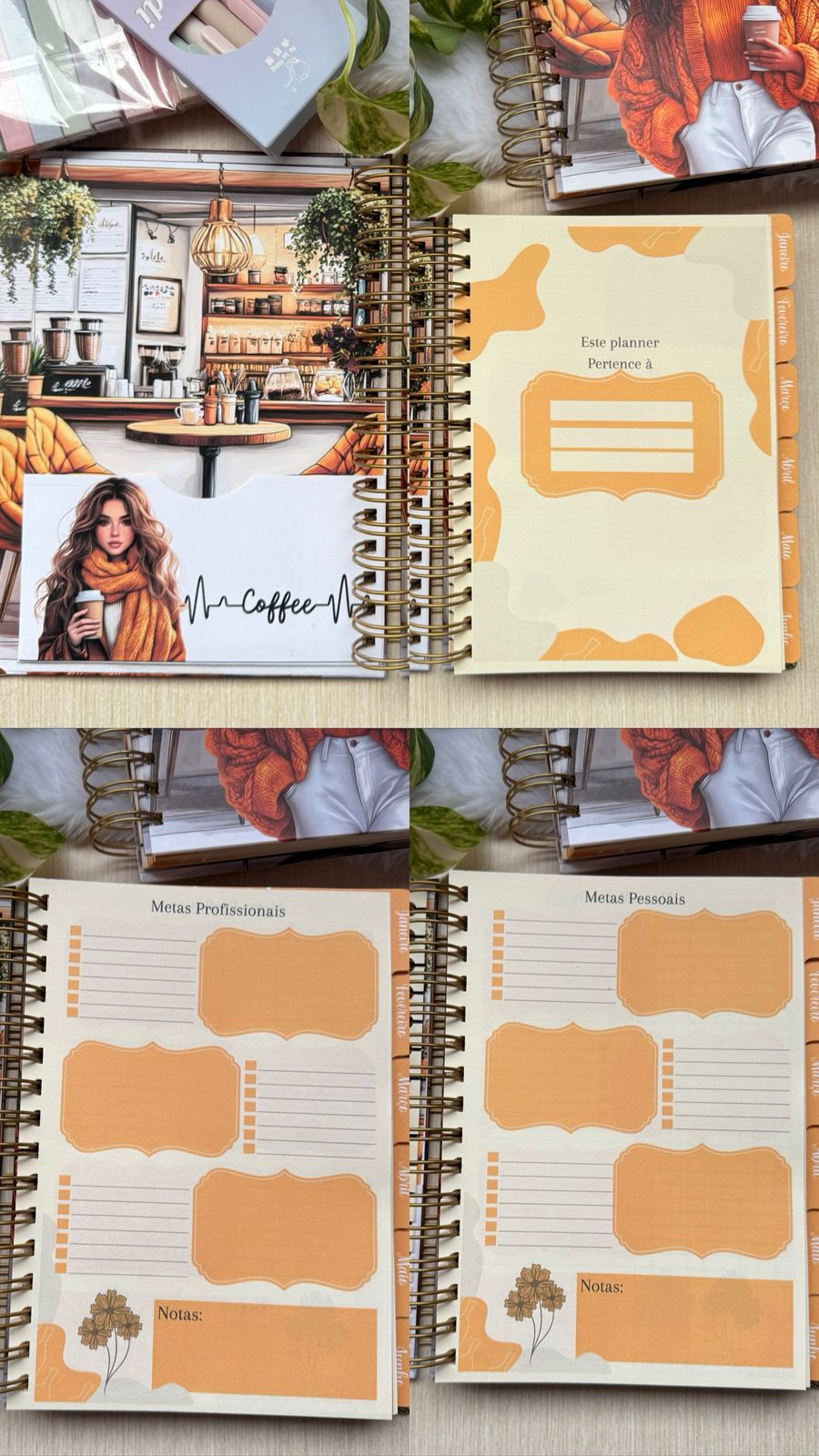 Miniatura: Planner de disco