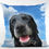 Thumbnail: In the Clouds Custom Pet Pillow