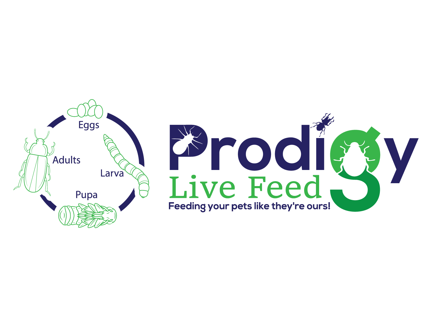 Prodigylivefeed