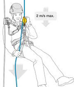 Petzl rig.jpeg