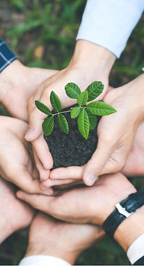 Sustentabilidade, Responsabilidade, Transformação (5)_edited.jpg