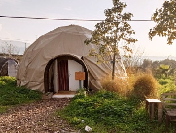 WhatsApp Image 2024-07-28 at 10.58.54.jpeg