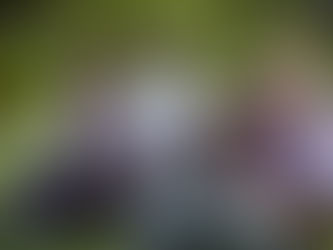 לא חשבתי שככה אגיב בריטריט זוגות שהעברתי