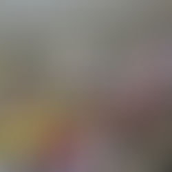 SPORT | ACTIONS SPORTIVES EN VENDÉE DÈS 2021