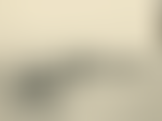 The rest of Africa