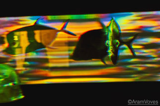 fish, abstract, experimental, colour, color, Aram Voves, colourful, colorful