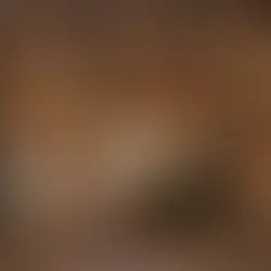 As bodas de Caná. 1565. Paolo Veronese