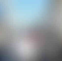 ingresso al Festival di Charles Dickens a Deventer 