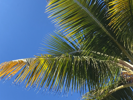 New Year's weekend in Florida
