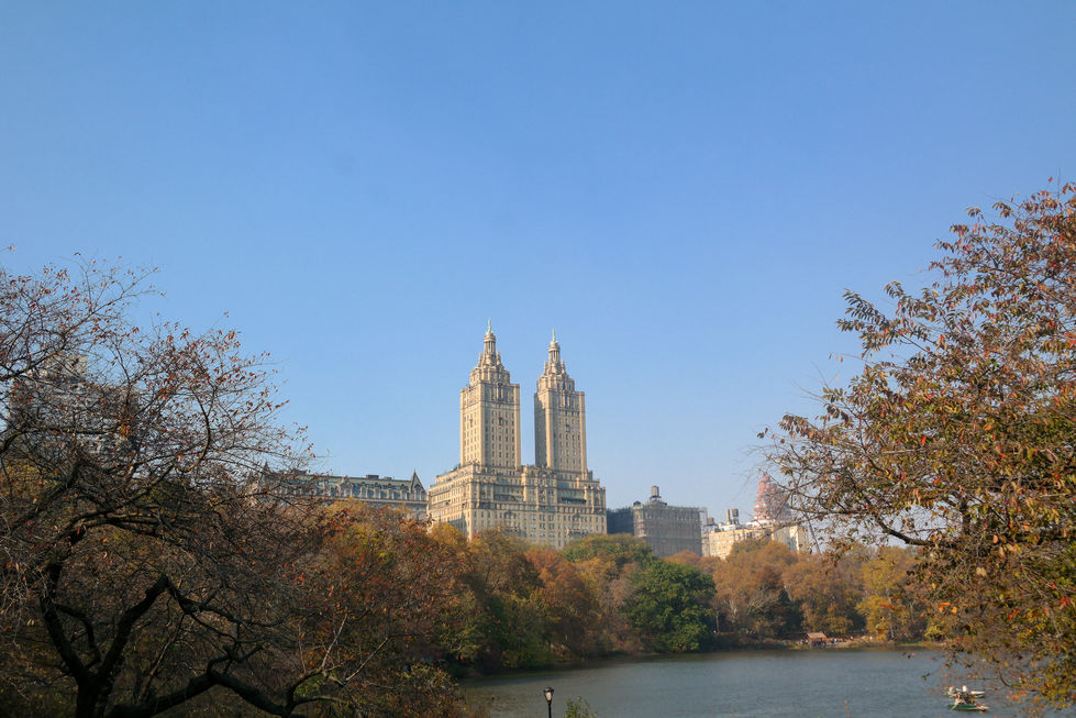 New York City portfolio