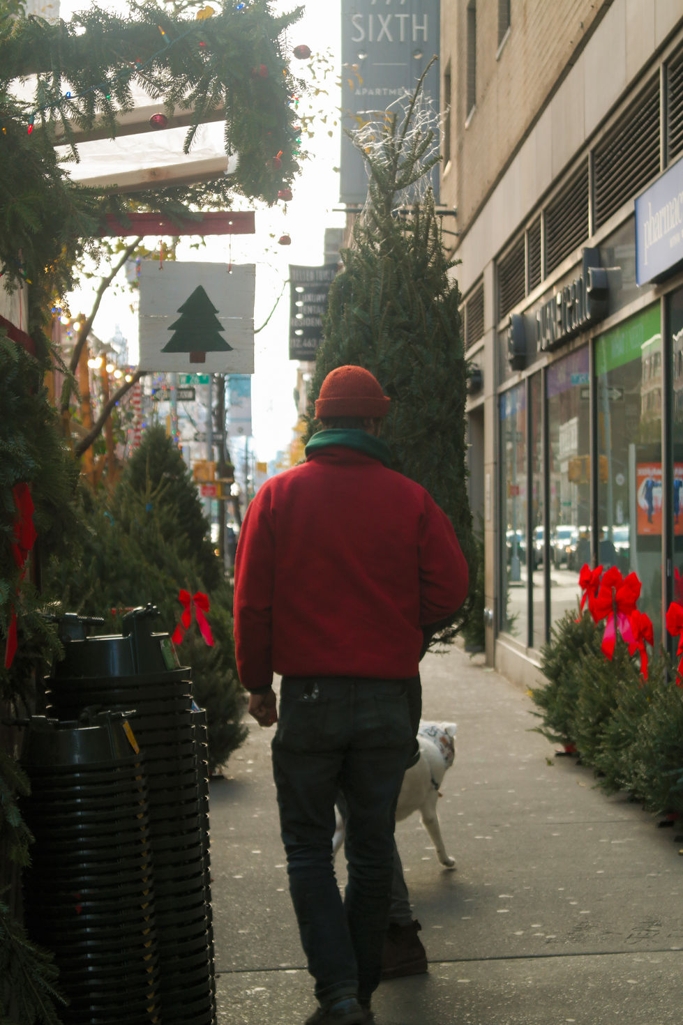 New York City portfolio - Christmas tree