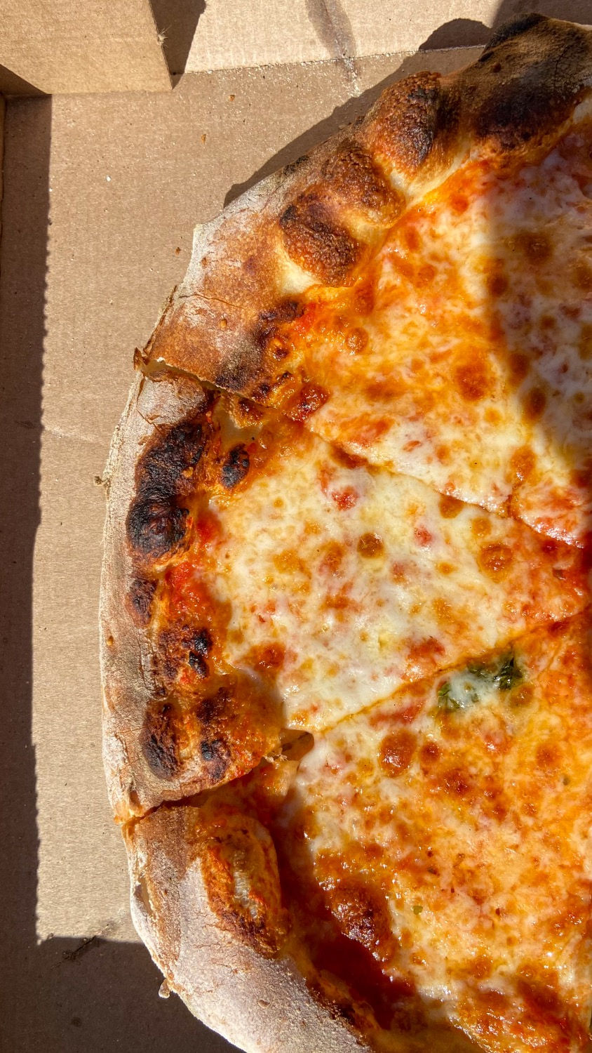 pizza in Venice, Florida