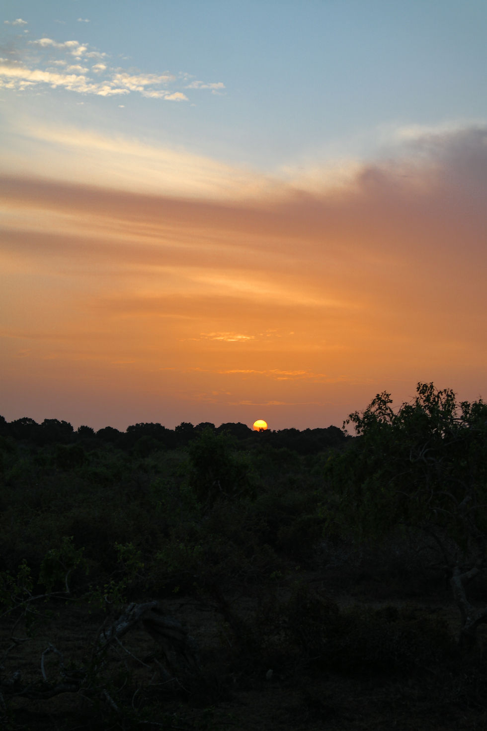 sunrise in Yala National Park