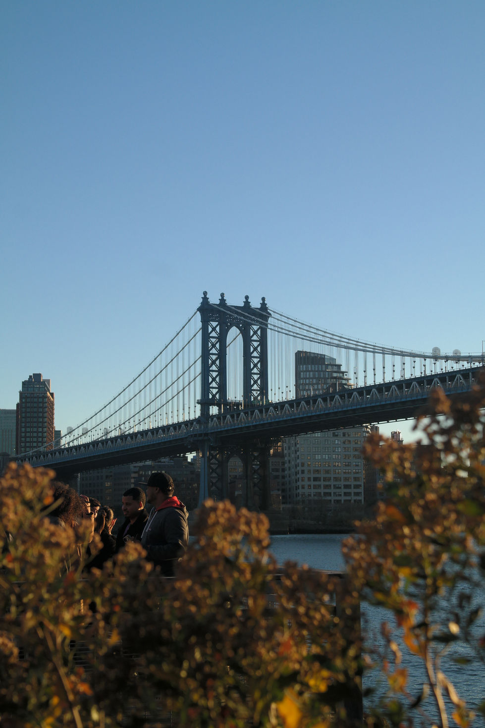 New York City portfolio