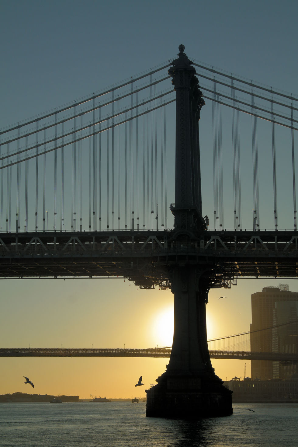 New York City portfolio - Pier 35