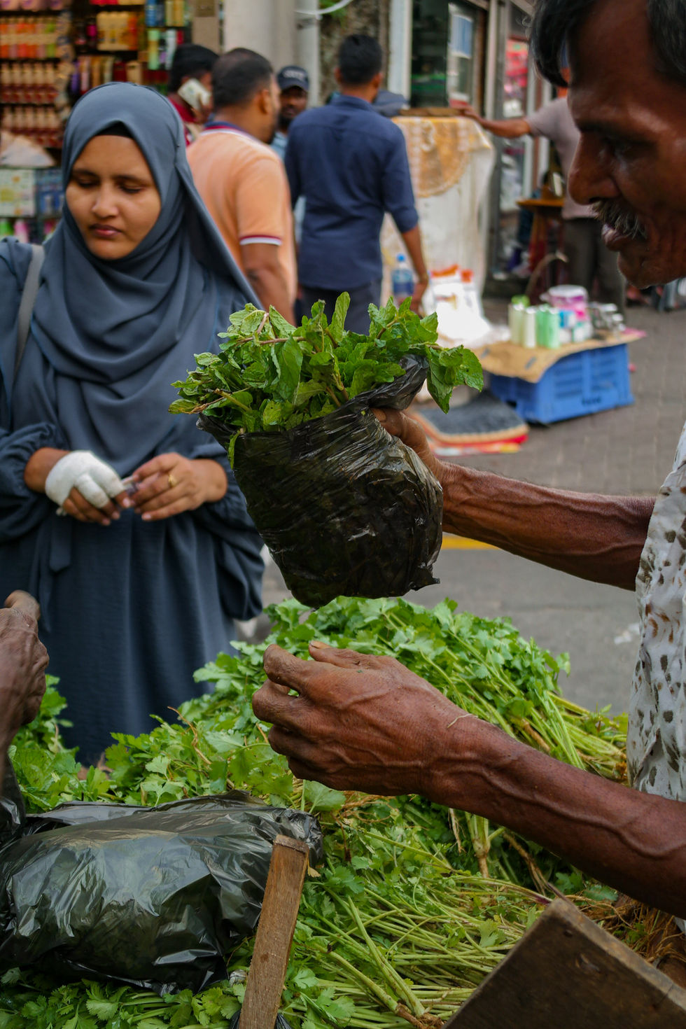 man selling coriander in the streets of Colombo, Sri Lanka