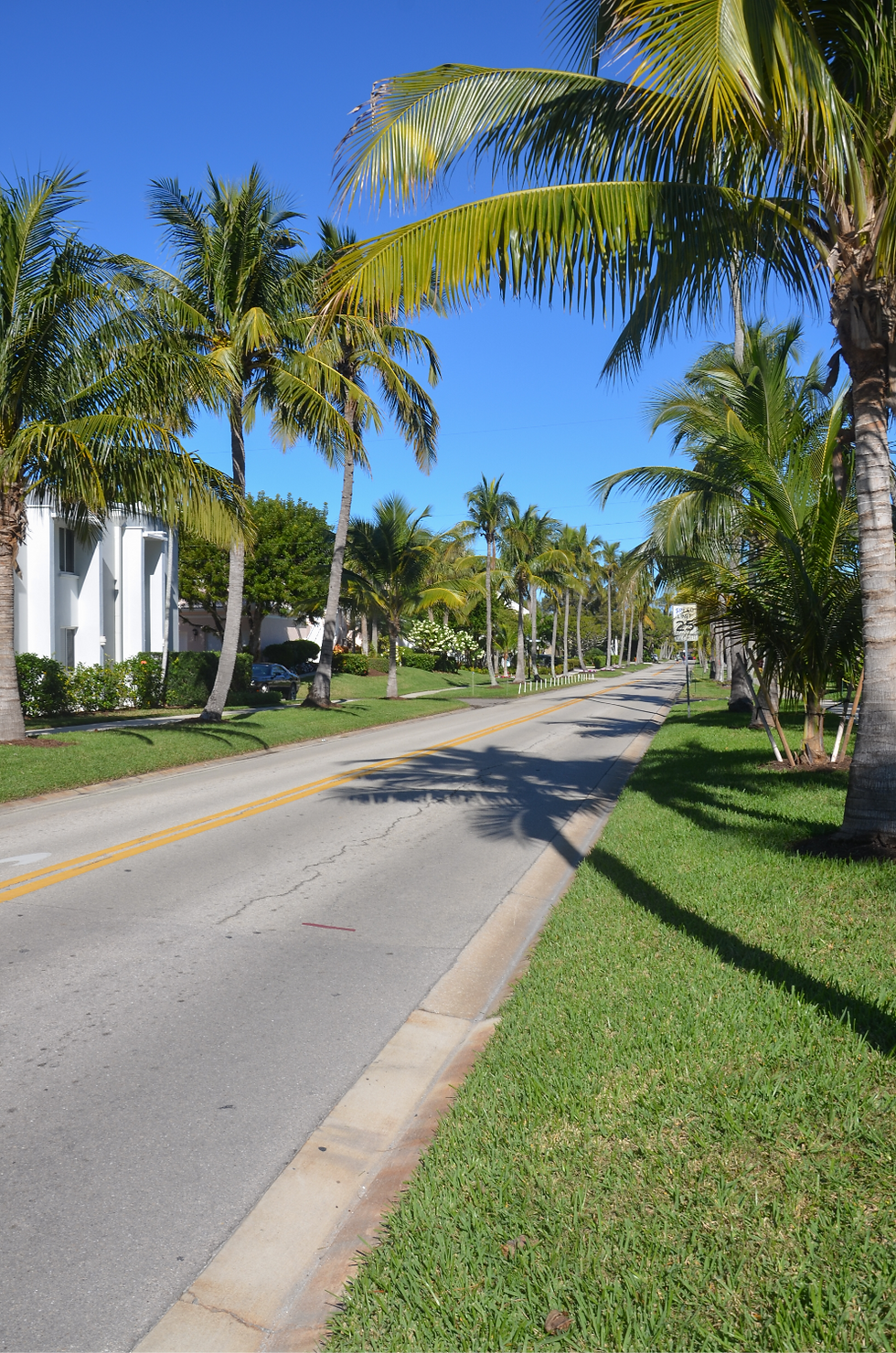 Street of Naples, Florida