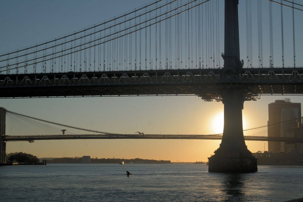 New York City portfolio - Pier 35