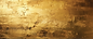 Hyvita DBX Web Files-09.PNG