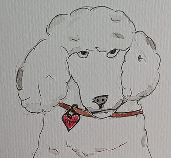 Hund Zeichnung zugeschnitten_edited.jpg