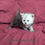 Thumbnail: Kira (Adopted by Deanna in Thousand Oaks)