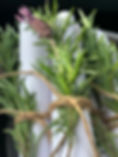 IMG_1847.jpeg