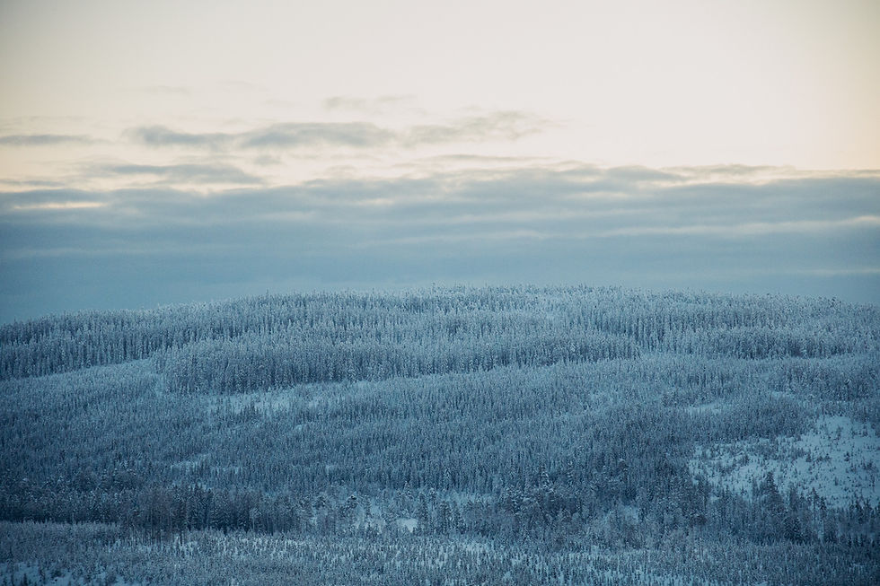Miniatyrbild: ANDERSVIKSBERG
