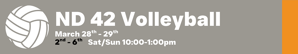 ND Volleyball (1).png