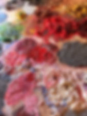 palette.jpeg
