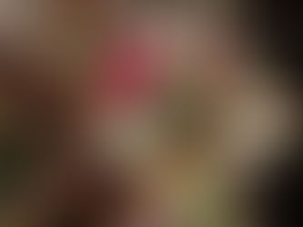 Creating Magic for your Customers