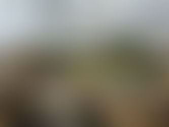 Just in time for Spring