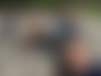 In Case You Missed It...