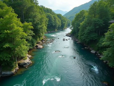Flow Like Water: Adapting and Overcoming Life's Challenges with Confidence