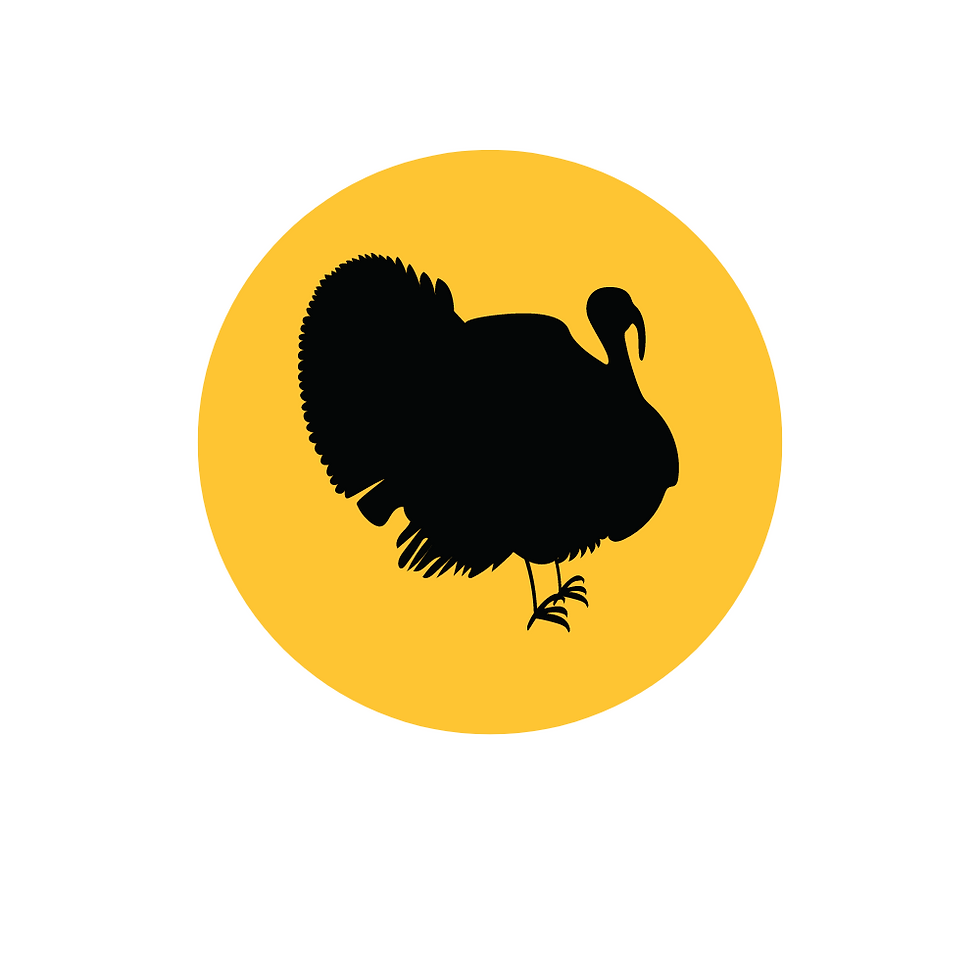 Turkey deposit 